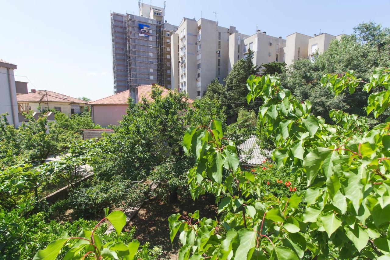 Apartman Andrijana Zadar Eksteriør bilde